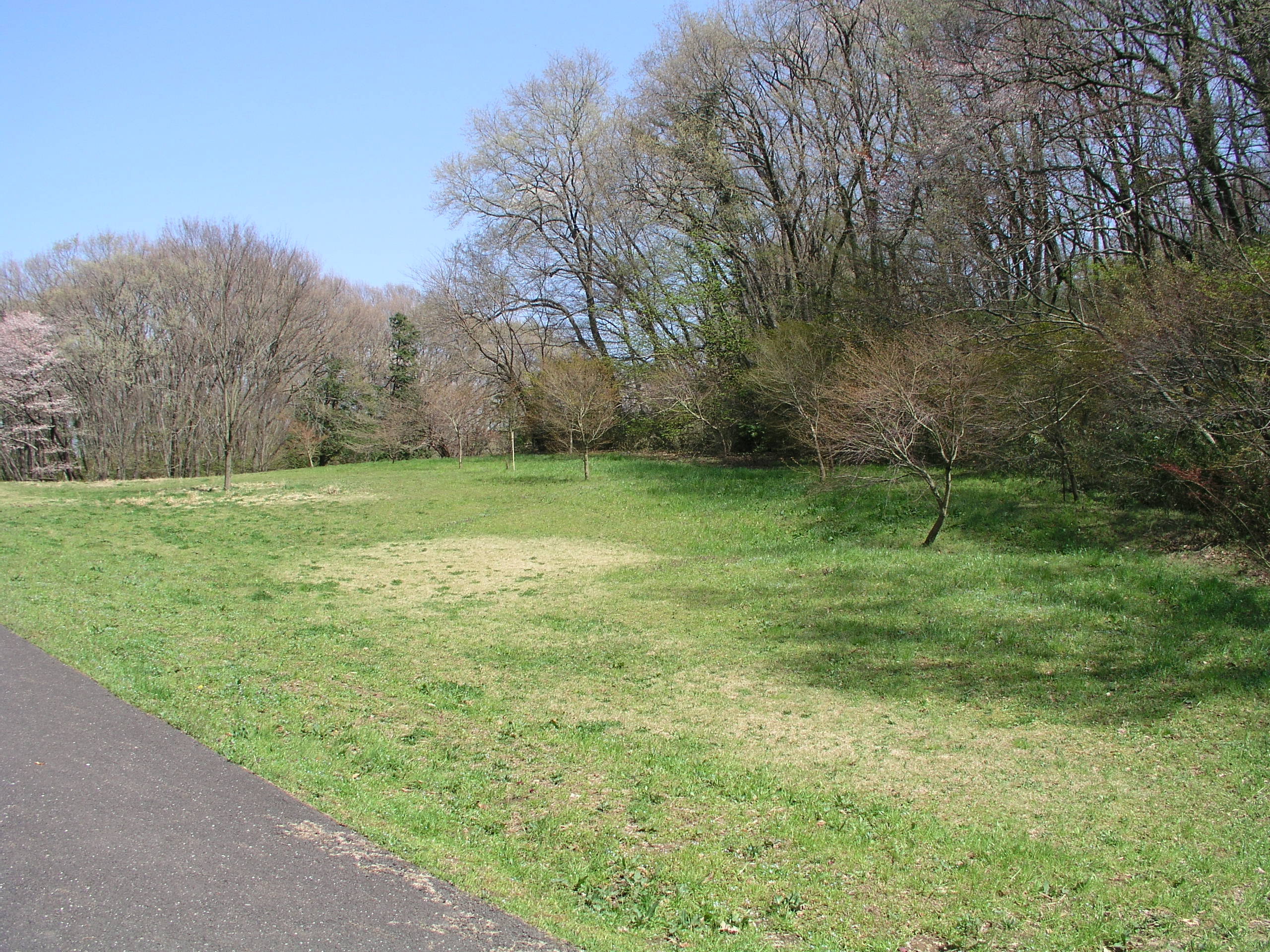 桜ケ丘公園