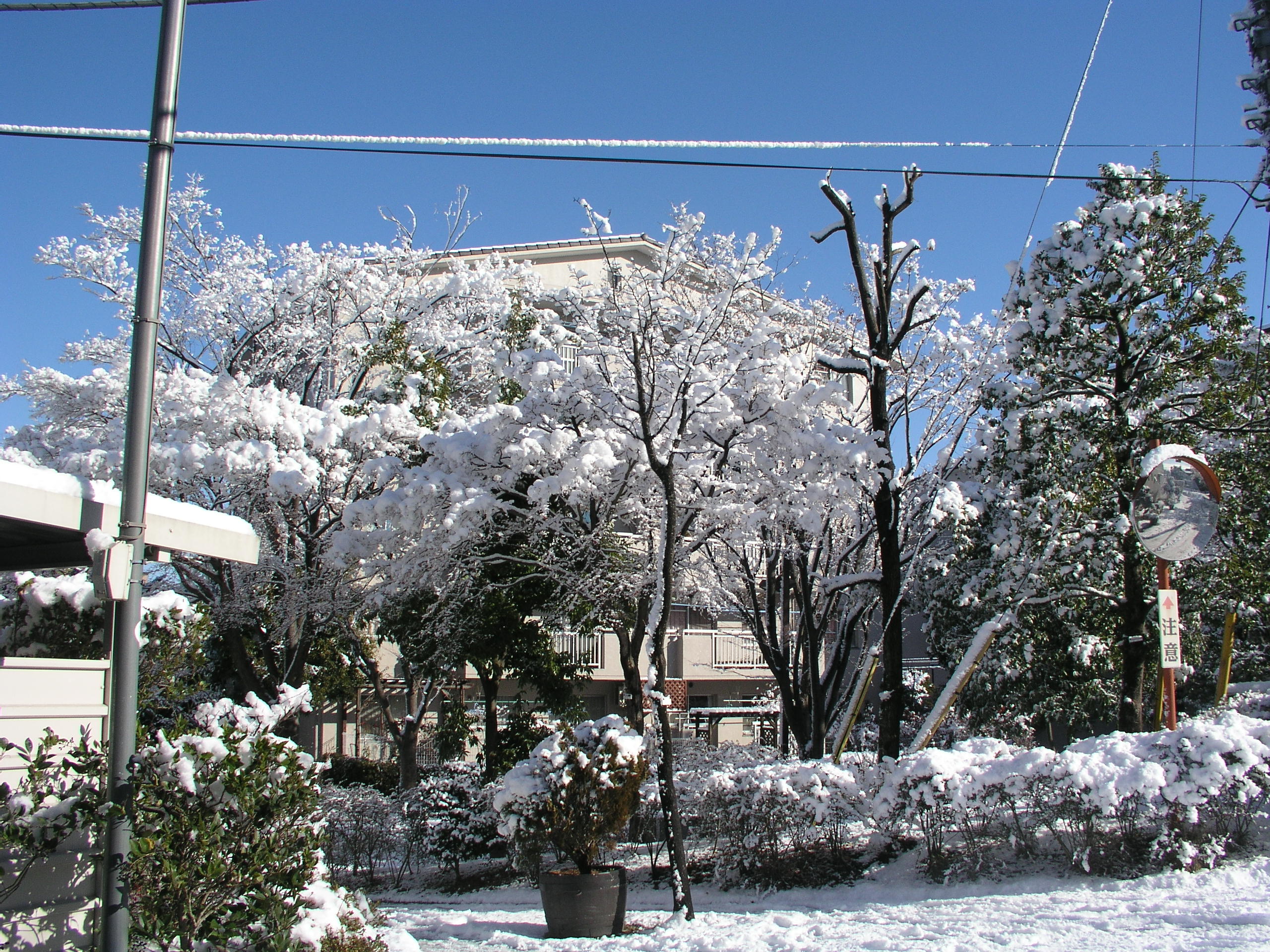 雪景色