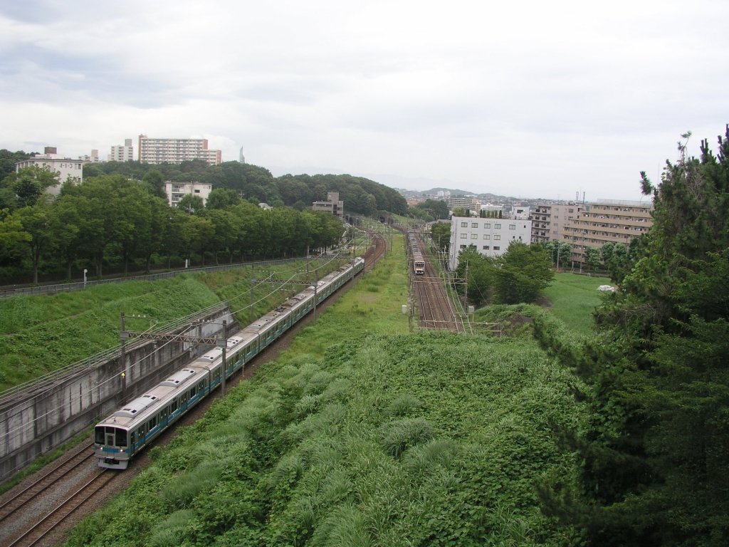 並走する京王線と小田急線