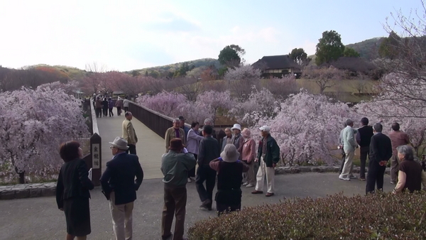 風土記の丘にて