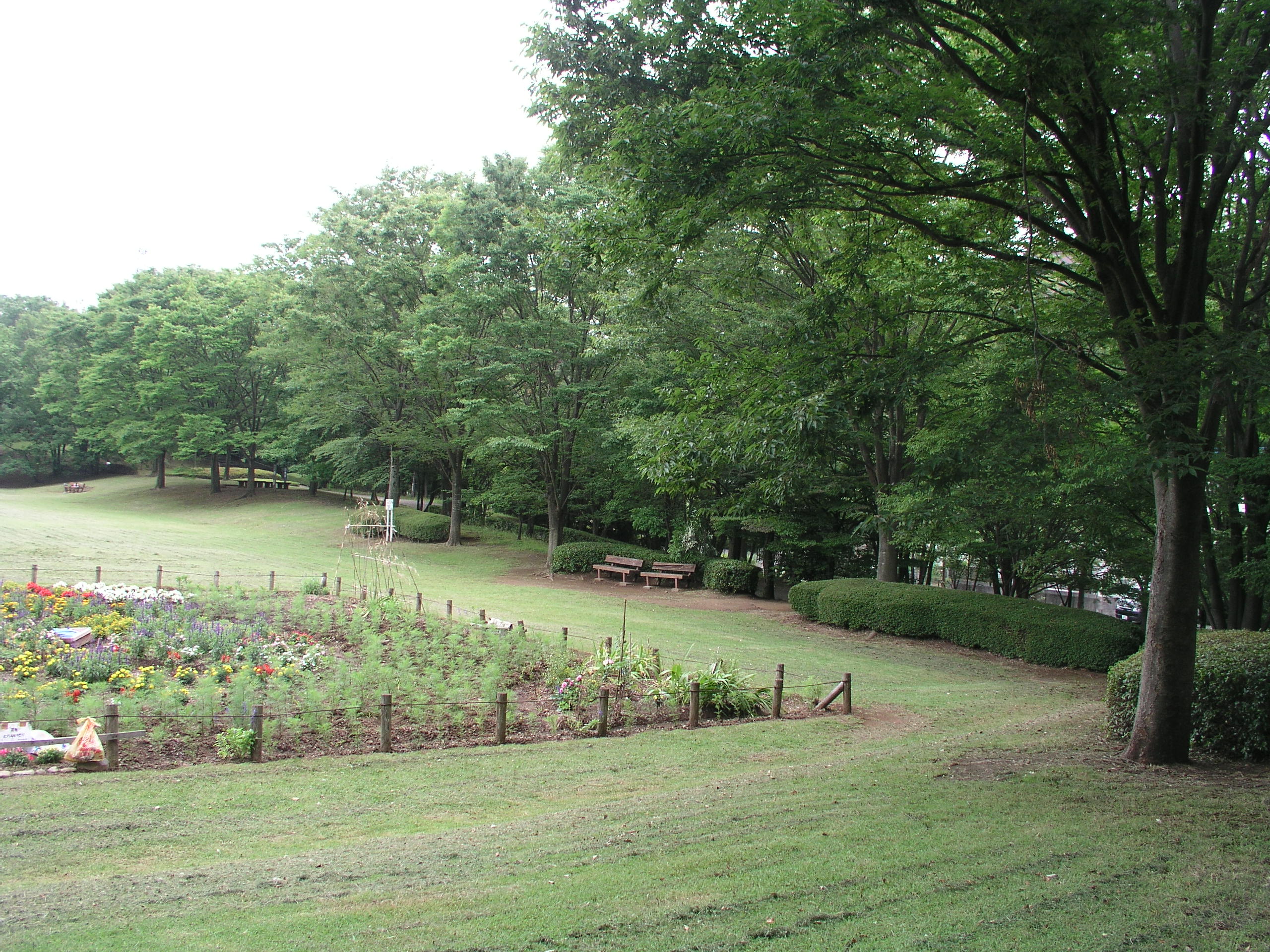 2012年６月28日を開きます。