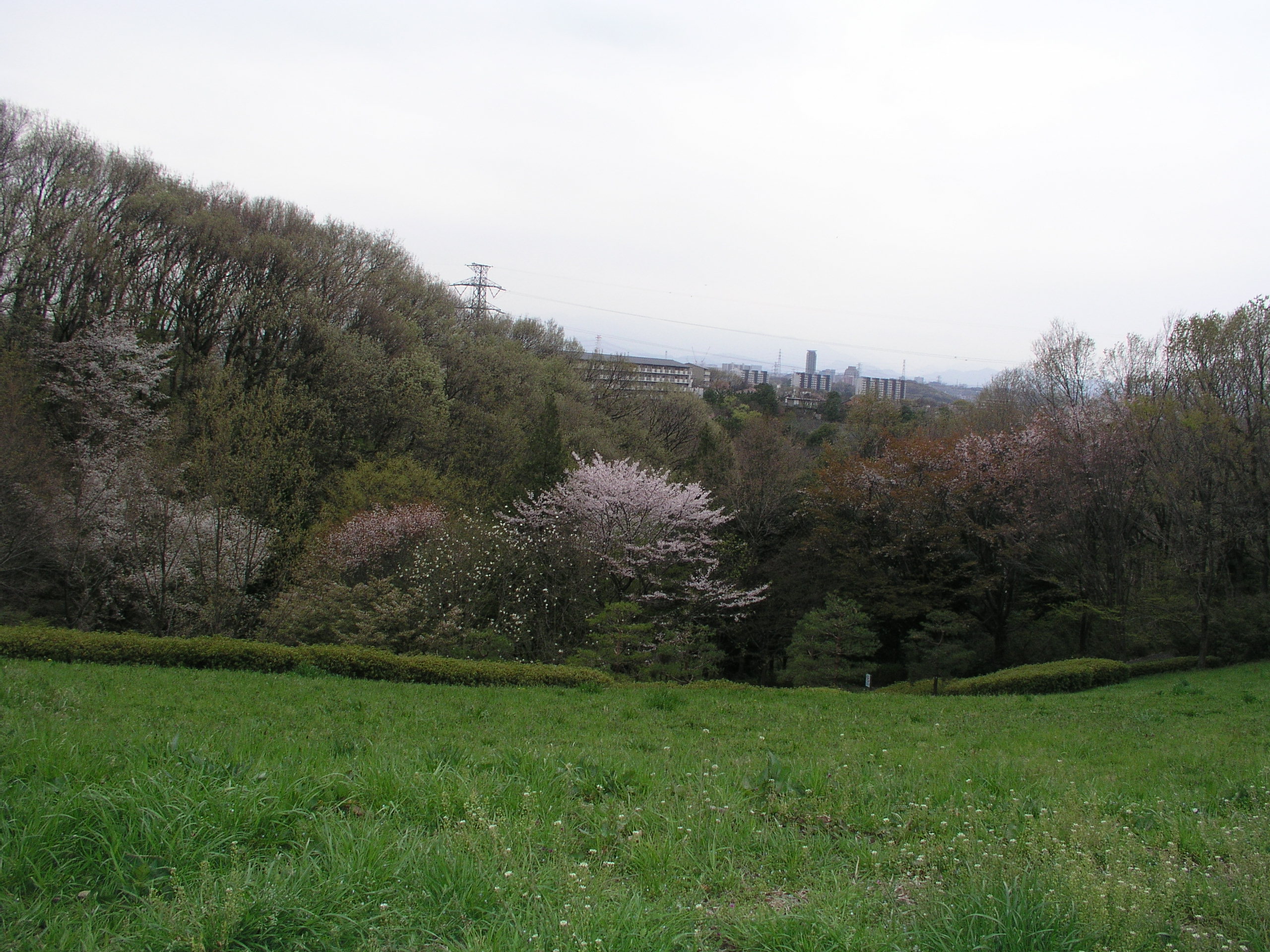 2012年4月16日を開きます。